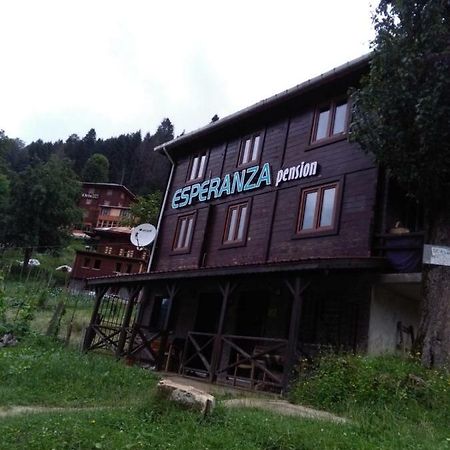 Gasthaus Esperanza Apart & Pension Ayder Yaylasi Exterior foto