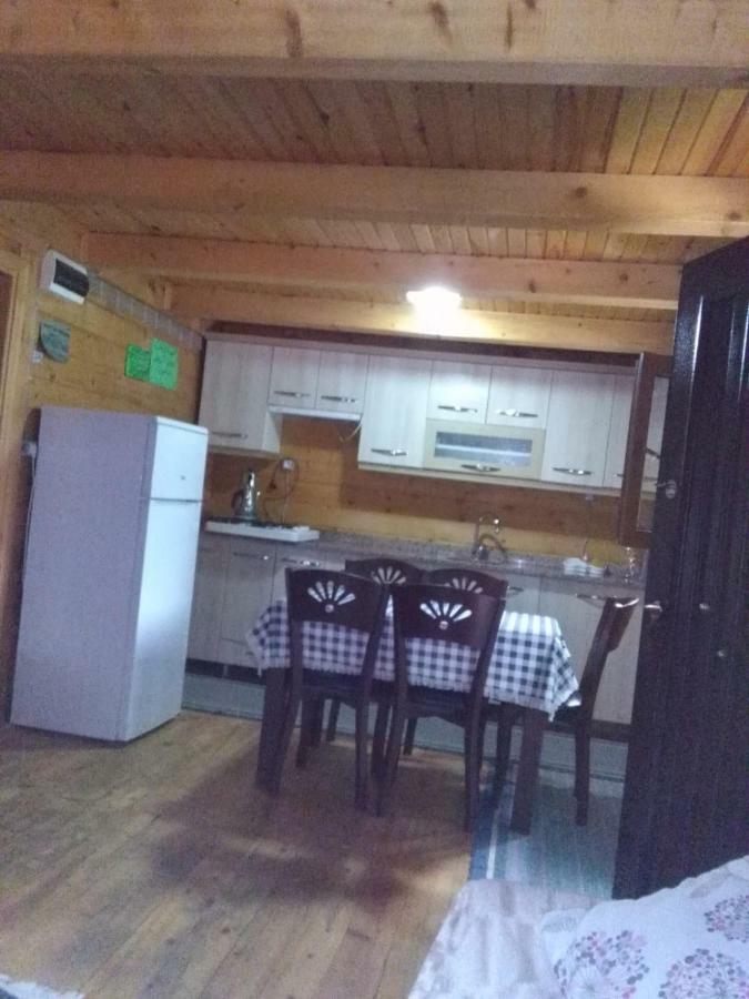 Gasthaus Esperanza Apart & Pension Ayder Yaylasi Exterior foto